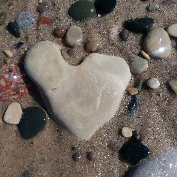 Meet your Posher, Amy - Picture 1 of 1